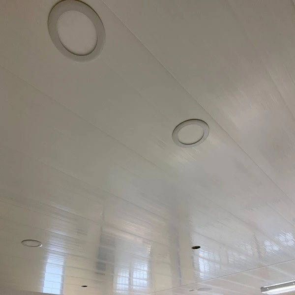 PVC kattopaneelit